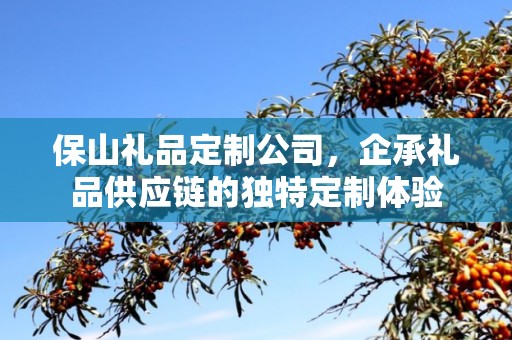 保山礼品定制公司，企承礼品供应链的独特定制体验