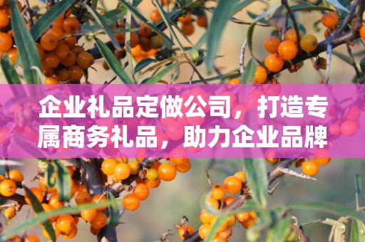 企业礼品定做公司，打造专属商务礼品，助力企业品牌发展