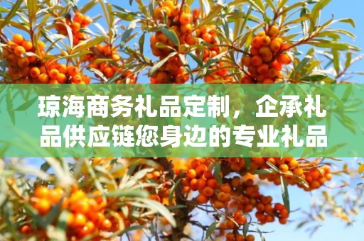 琼海商务礼品定制，企承礼品供应链您身边的专业礼品定制公司